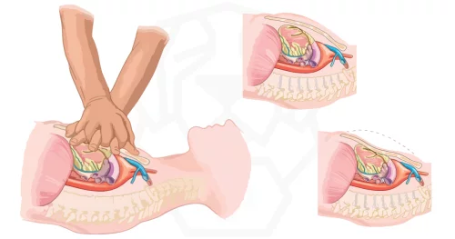 La RCR en ligne : une solution efficace